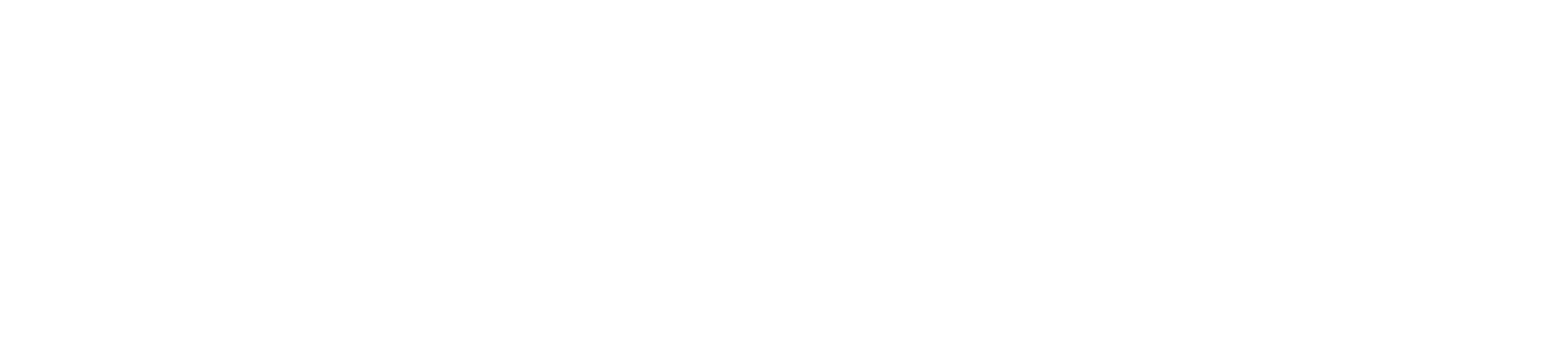 logo of the shop